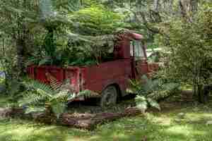 Free photo rusty red car lying abandoned in a forest background surrounded by trees