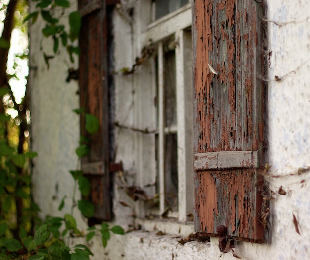 Rusty shutter of old home