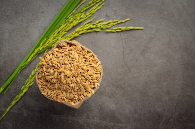 a sack of rice seed with rice plant