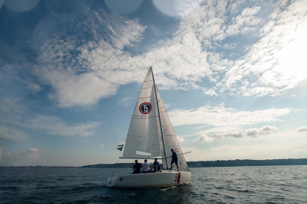 Free Photo sailing yacht race yachting sailing regatta