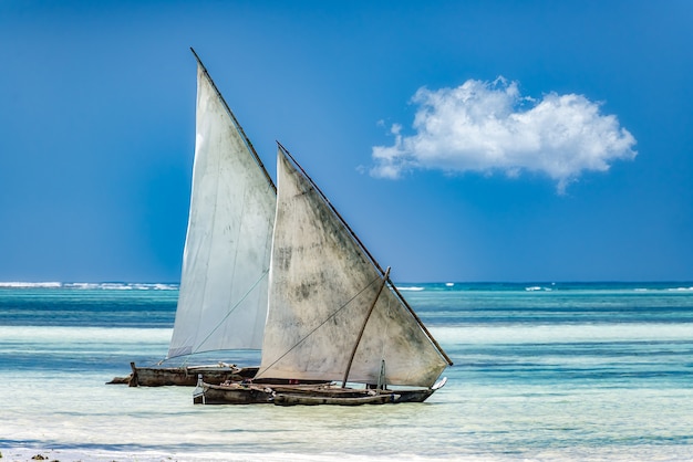 Sails on the sea under the sunlight and a blue sky