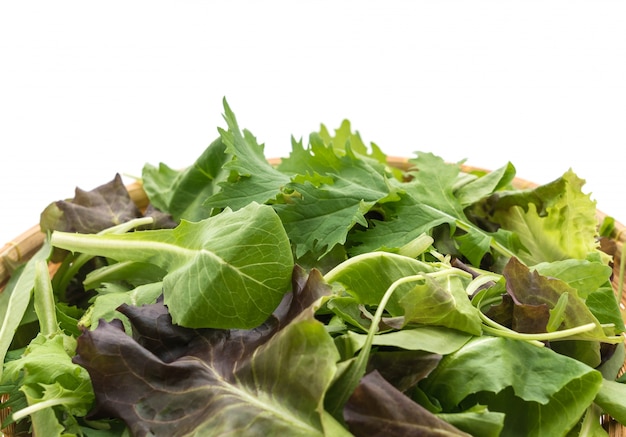 Free photo salad mix with rucola, frisee, radicchio and lamb's lettuce