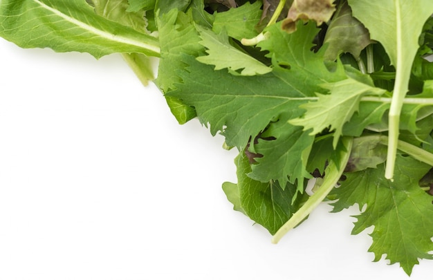 Salad mix with rucola, frisee, radicchio and lamb's lettuce