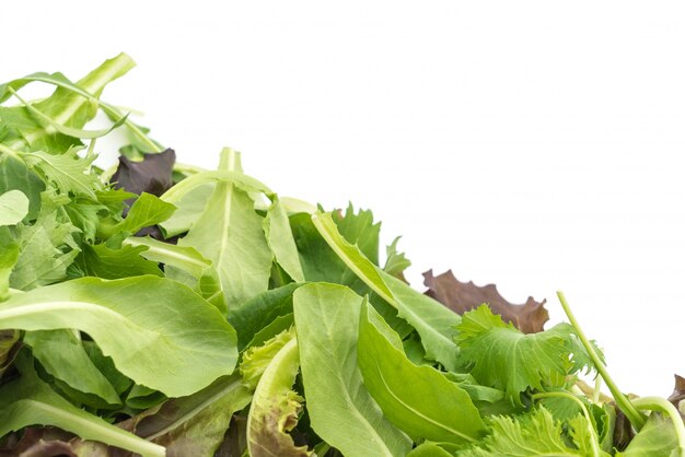 Salad mix with rucola, frisee, radicchio and lamb's lettuce