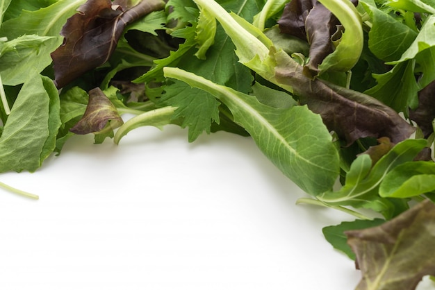 Salad mix with rucola, frisee, radicchio and lamb's lettuce