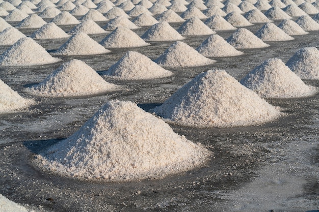 Free photo salt in salt farm ready for harvest, thailand