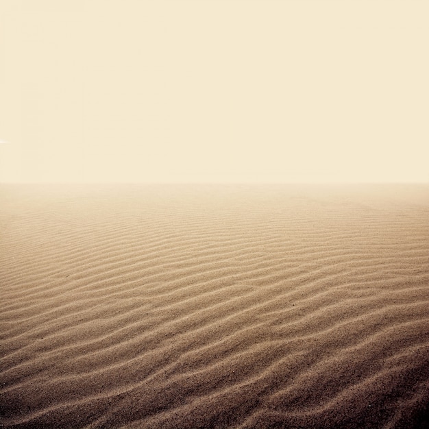 Free Photo sand on the dry desert.