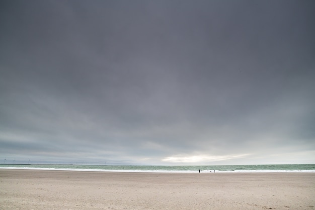 Free Photo sandy beach of the north sea at zealand