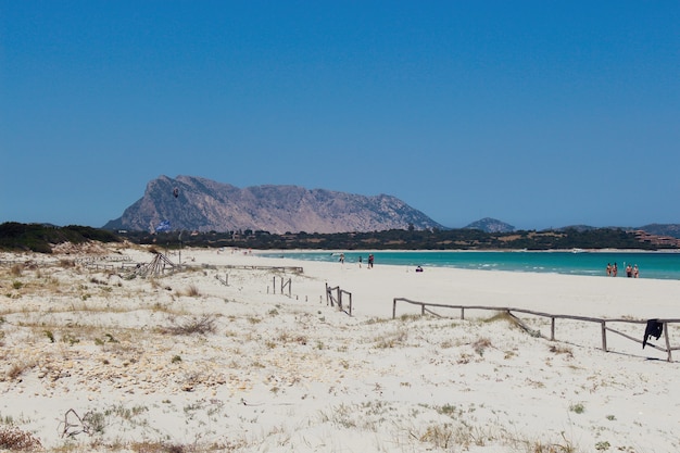 Free photo sandy beach in san teodoro, sardinia and the mountains