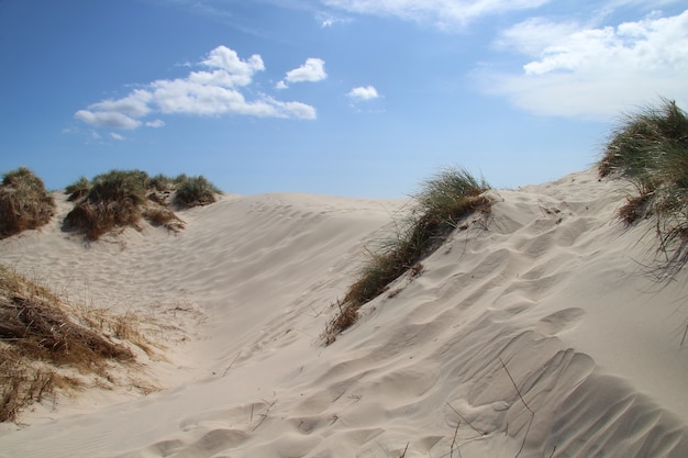 Sandy hills under the bright blue sky in Rabjerg Mile, Denmark