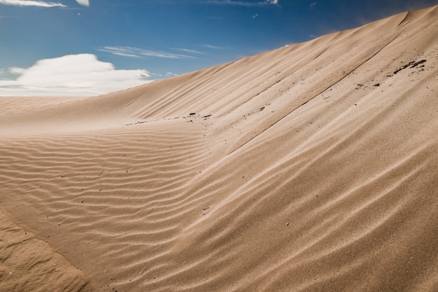 Free Photo sandy hills in a deserted area with traces left by the wind