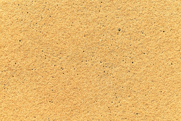 Free photo sandy surface pattern vacation sea