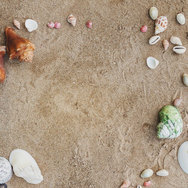 Sandy surface with decorative seashells