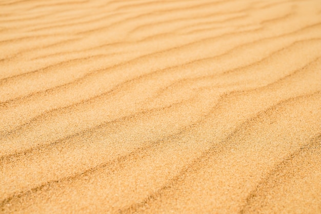 Sandy texture on the beach, black sea coast. Top view of abstract beach sand dunes for summer banner background.