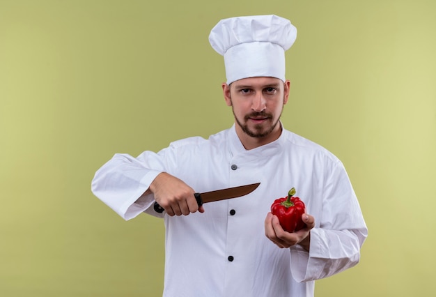 Satisfied professional male chef cook in white uniform and cook hat holding bell pepper and a knife looking confident standing over green background