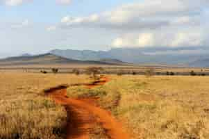 Free photo savannah landscape in the national park in kenya, africa