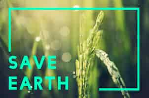 Free photo save earth planet world concept