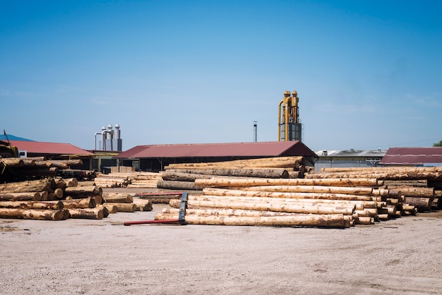 Free Photo sawmill factory for lumber planks production