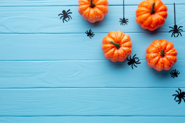 Free Photo scary halloween spiders and pumpkins