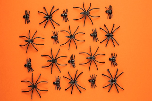 Free photo scary halloween spiders