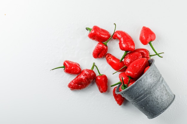 Free photo scattered red peppers from a mini bucket on a white wall. top view.