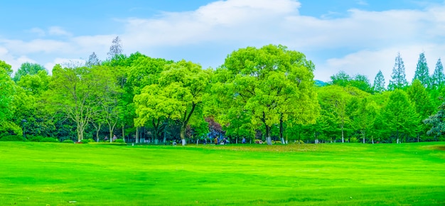 scenery decoration mountains sunny form space