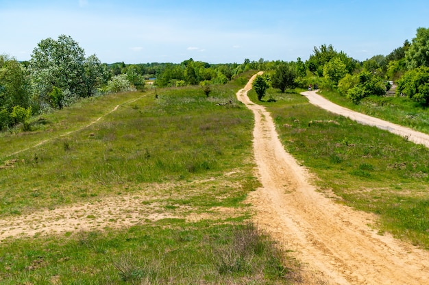 Scenery of an open field with trees and a dirt road captured during the daytime