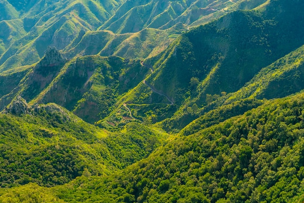 Scenic mountains covered with forest and winding road in Anaga rural park on a sunny day, Tenerife, Spain