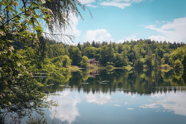 Scenic shot of a beautiful lake surrounded by green trees and an isolated house under the cloudy sky