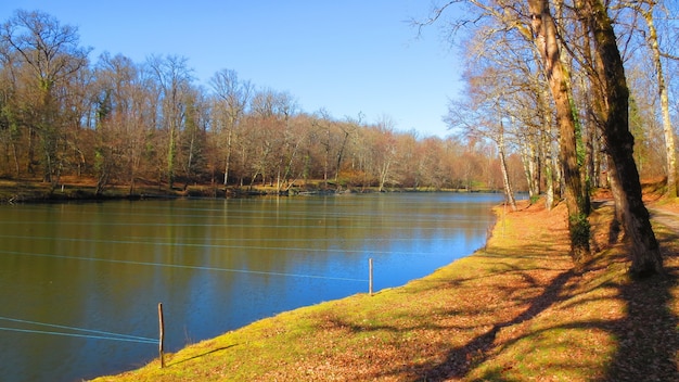 Free photo scenic shot of a river with string markers on a stake