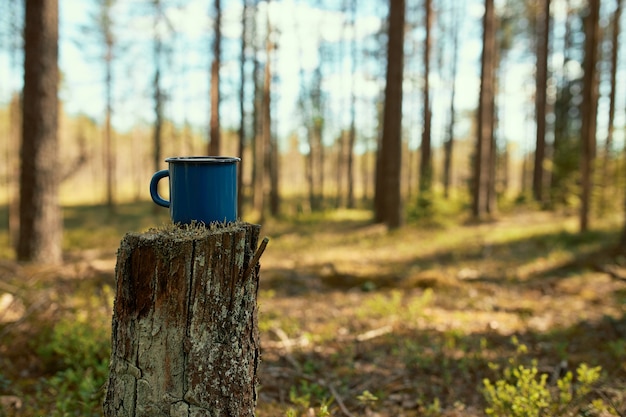 Free photo scenic view of hiking enameled cup of tea on stump in foreground with pine trees and blue sky in background.