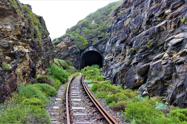 Free Photo scenic view of a railway to tunnel through the green-covered rocks