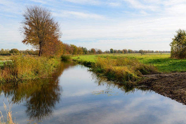 Free Photo scenic view of trees reflected on a river under a cloudy sky