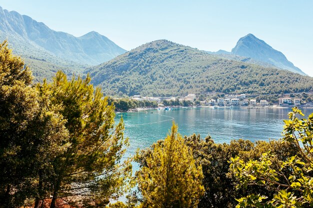 Scenics view of trees with green mountains and houses with lake