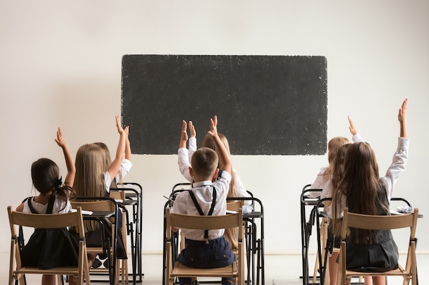 Free photo school children in classroom at lesson