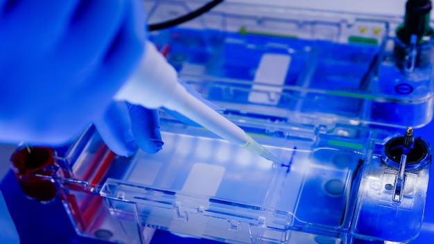 Scientist conducting the gel electrophoresis biological process as part of research