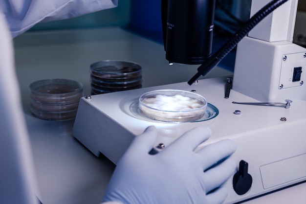 Free photo a scientist examining a substance in a petri dish while conducting virus research