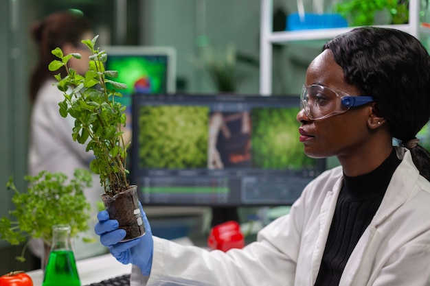 Free photo scientist looking at green sapling for medical experiment