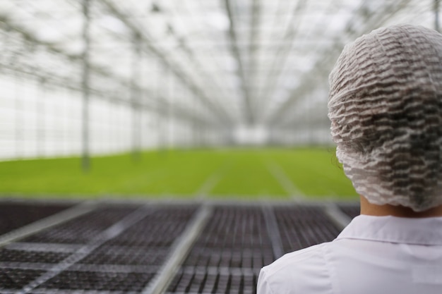 Free Photo scientist researching plants and diseases in greenhouse