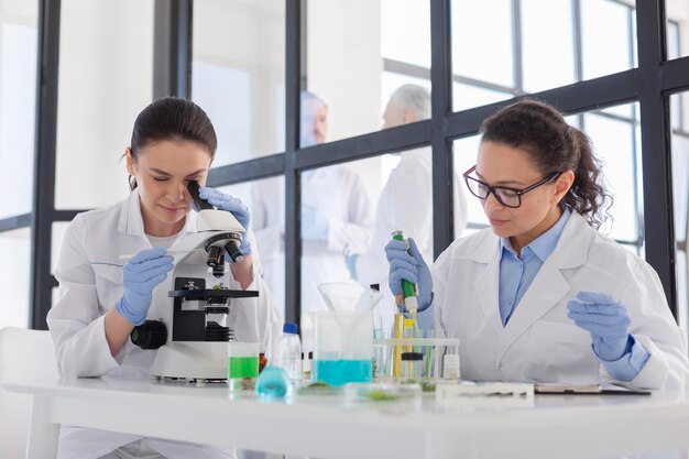 Scientists working in lab medium shot