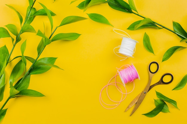 Scissor; white and pink thread spool with green leaves twig on yellow background