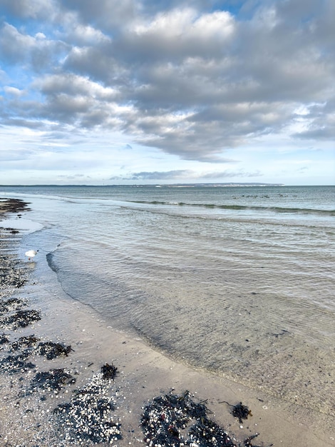 Free Photo sea coast with seashells and texture waves sea lanscape