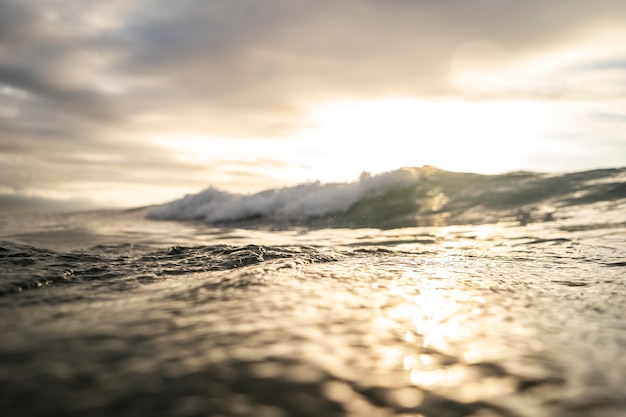 Free photo sea landscape with wave