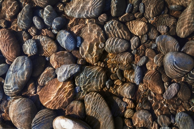 Free Photo sea life background with underwater rocks and sunlight rays nature photography