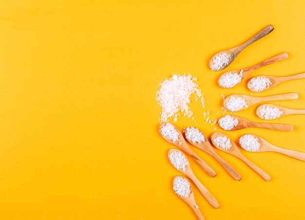 Sea salt in wooden spoons and some nearby