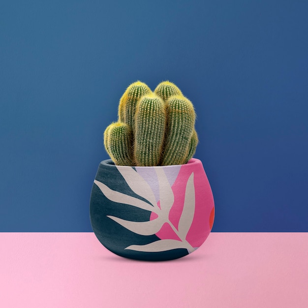 Free photo sea sand cactus mockup in a pot