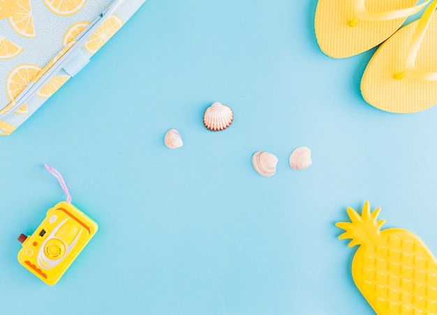 Sea shells and beachfront things on bright background