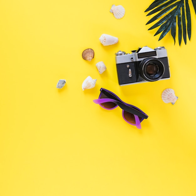 Free Photo sea shells; camera; sunglasses and palm leaf on yellow background