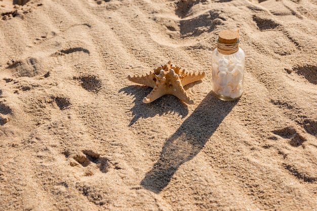 Free photo sea star and jar with shells on sandy beach