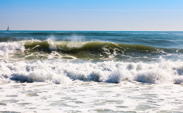 sea  in sunny day